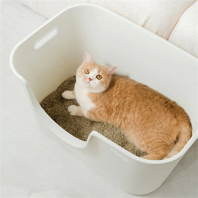 MANGO Extra Size High Edge Ultra-light Weight Cat Litter Box For Large Cat