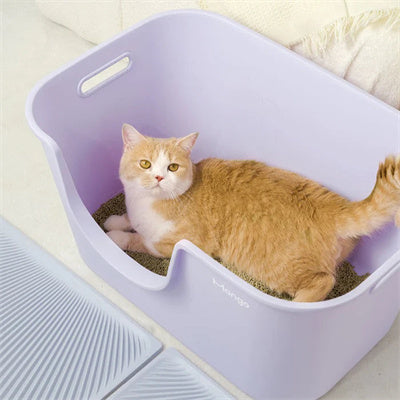 MANGO Extra Size High Edge Ultra-light Weight Cat Litter Box For Large Cat