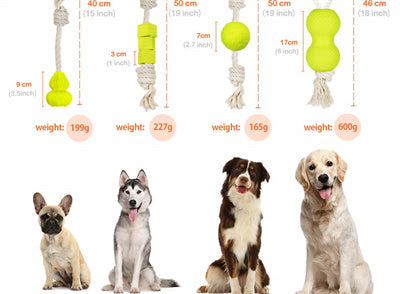 Laroo Ball on Rope Pet Toy