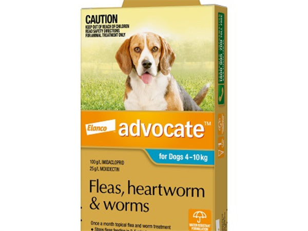 Advocate Dog Bayer 4-10KG Medium