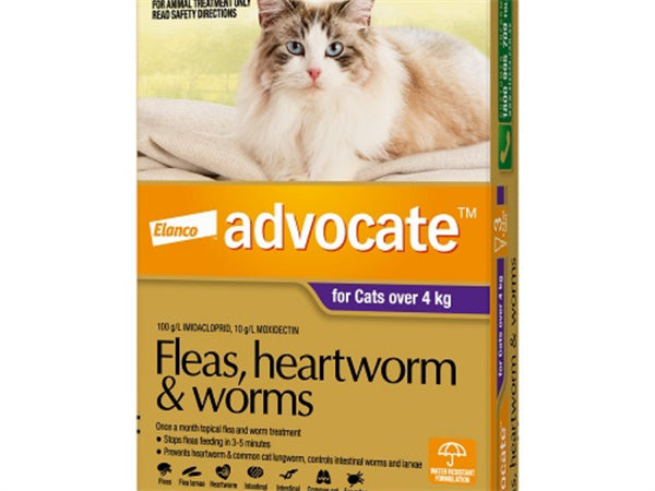 Advocate Cat Bayer 4KG Plus Large