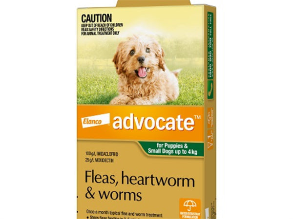 Advocate Dog Bayer 0-4KG Small Green