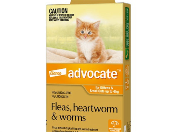 Advocate Cat Bayer 0-4KG Small