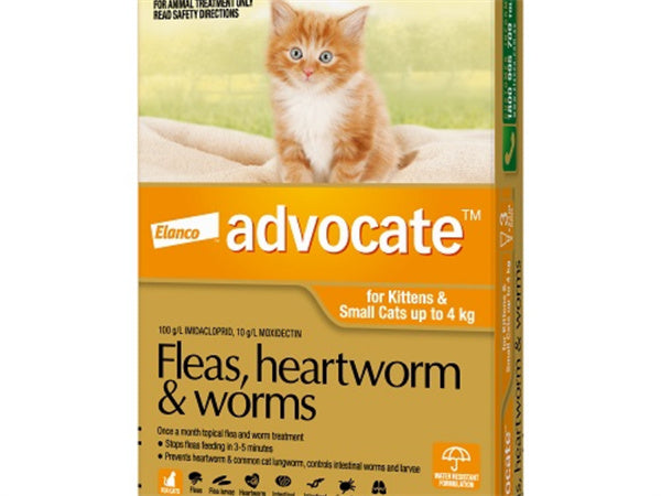 Advocate Cat Bayer 0-4KG Small